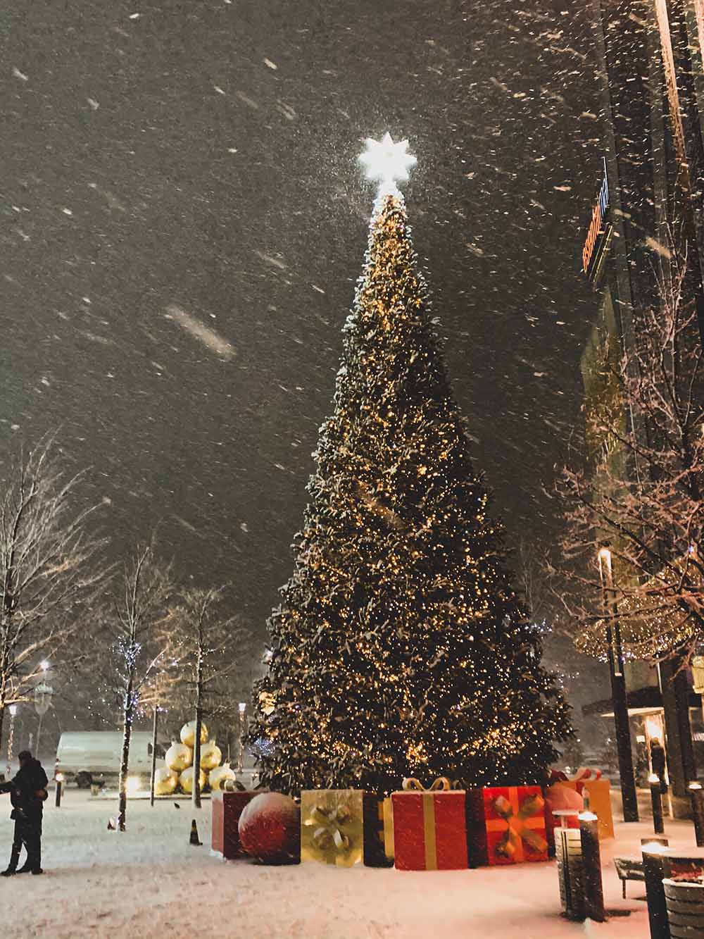 Weihnachtsbaum